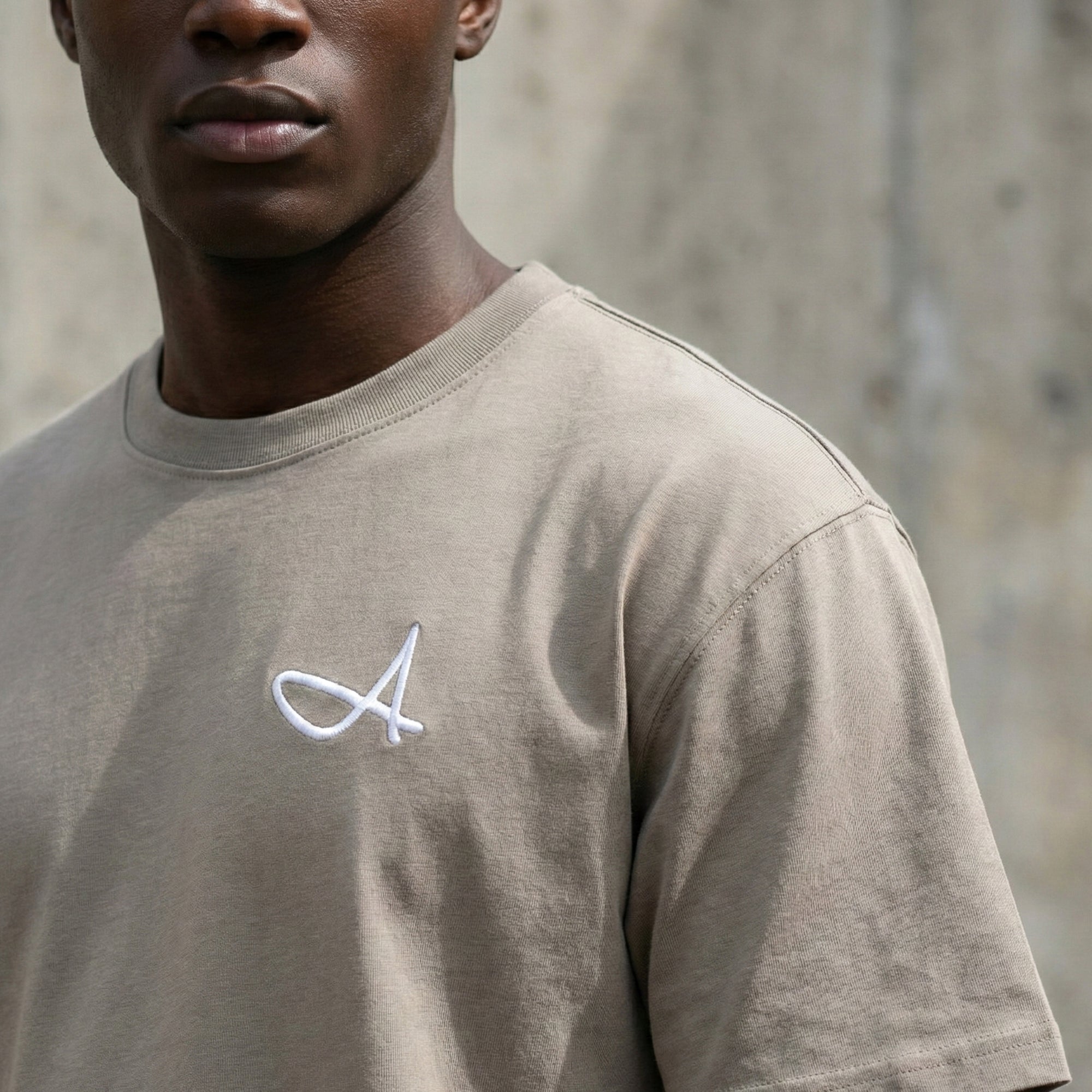 Fade Signature A Relaxed Fit T-Shirts Taupe for Adults – Fade.